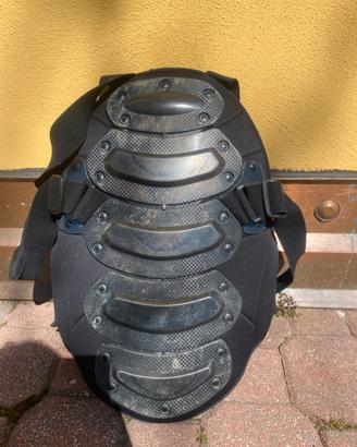 Para schiena equitazione