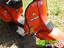 Immagine 27