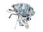 Immagine 4