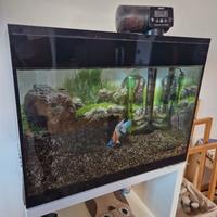 ACQUARIO " TETRA STARTER LINE LED" ASKOLL