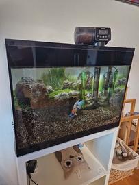 ACQUARIO " TETRA STARTER LINE LED" ASKOLL