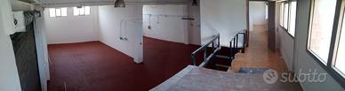 Capannone uso industriale/artigianale/deposito