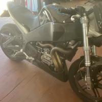 Buell xb12s