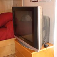 TELEVISORE COLOR SANSUNG 28 POLLICI