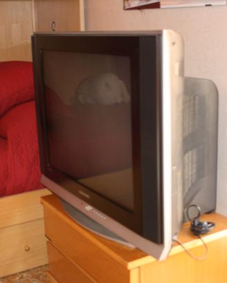 TELEVISORE COLOR SANSUNG 28 POLLICI