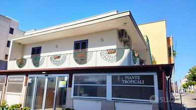 Sant'Angelo indipendente con pannelli fotovoltaici