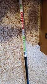 Bolognese Artico Sismica