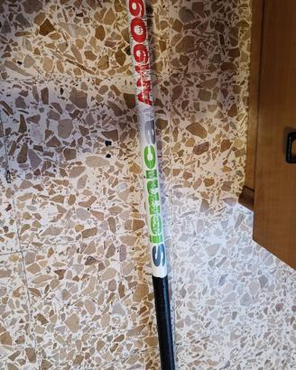 Bolognese Artico Sismica