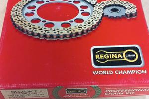 kit catena corona pignone regina suzuki gsx-r 600 