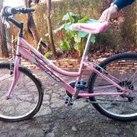 bicicletta mountain bike rosa 