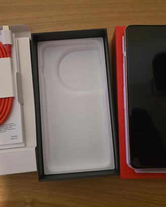 OnePlus 13 16/512Gb