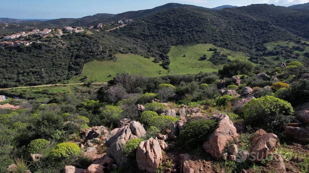 Terreno di 25000 m² a Loiri Porto San Paolo - Vista 2
