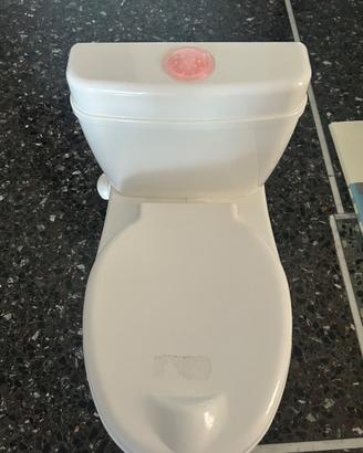 Vasino a forma di water con suono e luci