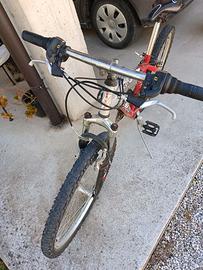 Bicicletta 24"