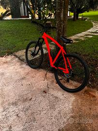 Bici mtb
