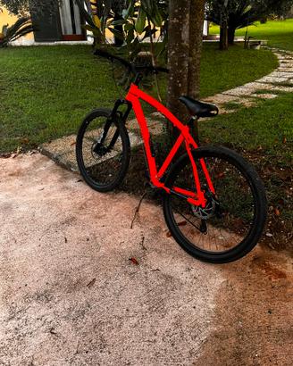 Bici mtb