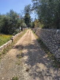 Terreno Edificabile - Noto