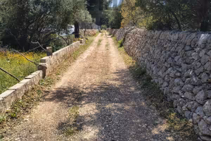 Terreno Edificabile - Noto