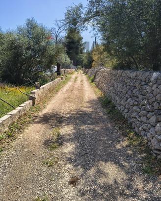 Terreno Edificabile - Noto