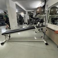 Panca addominali Tecnogym