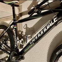 Bici MTB Cannondale Lefty