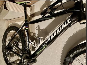 Bici MTB Cannondale Lefty