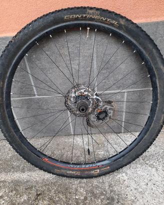 Cerchio sincrox alexrims 29 pollici