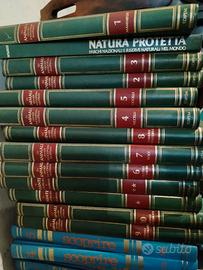 enciclopedia