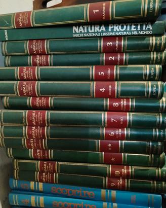 enciclopedia