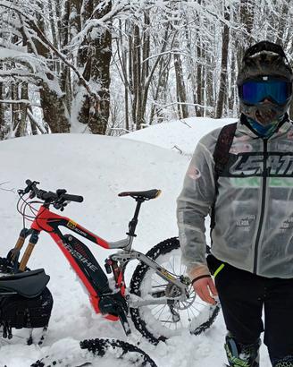 ebike haibike nduro 10.0