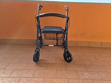 Carrello deambulatore
