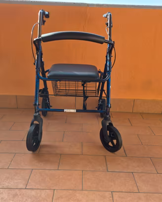 Carrello deambulatore