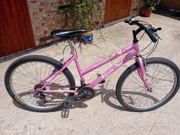 bicicletta rosa 