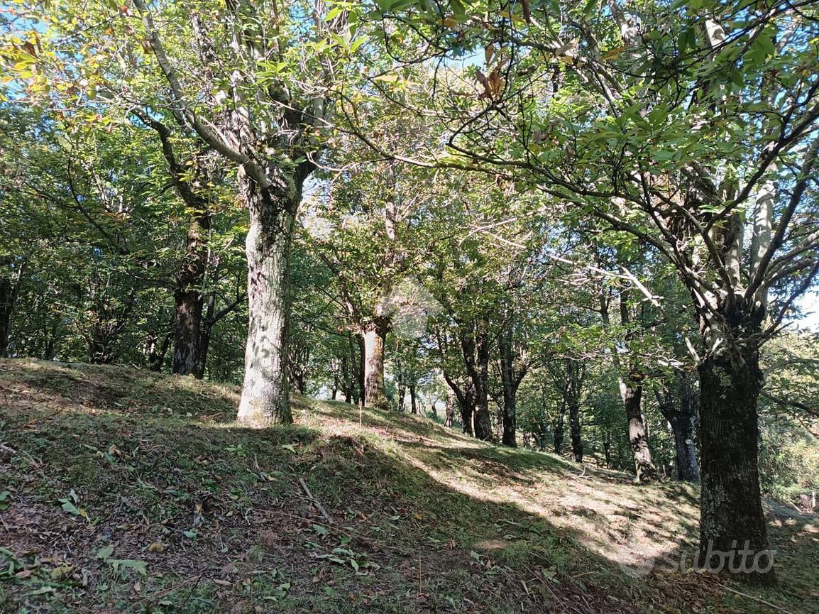 TER. AGRICOLO A SERINO - Vista 3
