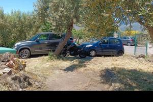 Vigneto, uliveto,rustico