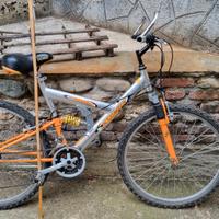 mountain bike SKyJumper ben tenuta