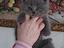 Immagine 1