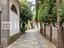 Immagine 28