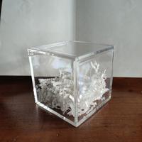 Scatole plexiglass 