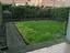 Immagine 12