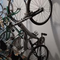 bicicletta mtb