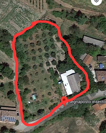 Casa in campagna PER GENTE CHE HA SOLDI