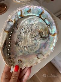 🐚 Conchiglia Abalone naturale – 18 x 15 cm