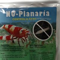 No planaria