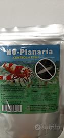 No planaria