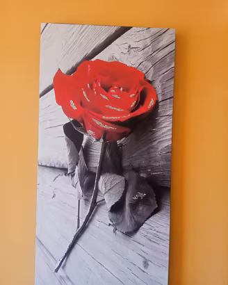 Quadro su tela Rosa rossa