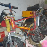 bicicletta da bambino
