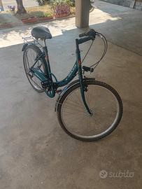 bicicletta olandese