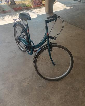 bicicletta olandese