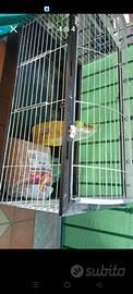 gabbia conigli